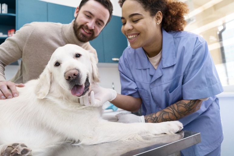 Crescimento do mercado pet impulsiona formação de médicos veterinários