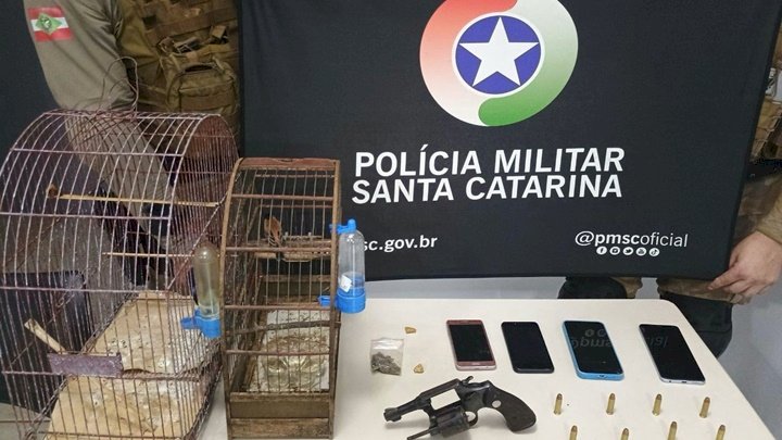 Drogas, arma de fogo e aves silvestres são apreendidas com jovem no Oeste de SC