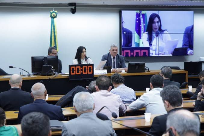 Audiencia-publica-discute-revisao-da-APA-da-Baleia-Franca-na-Camara-dos-Deputados.