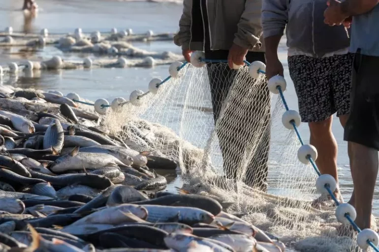 Clima-Adverso-Atrapalha-Pesca-da-Tainha-e-Producao-Cai-no-Litoral-Sul-de-SC