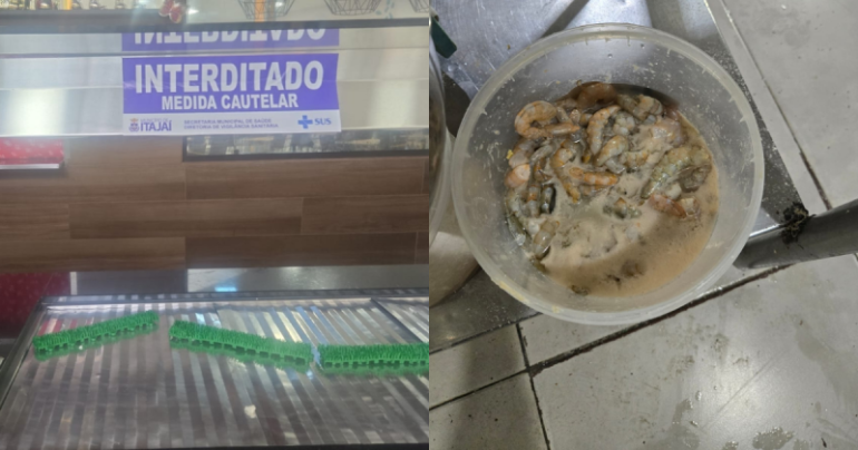 Infestação e comida vencida: vigilância fecha mais três restaurantes em Itajaí