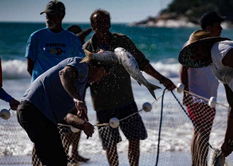 Santa-Catarina-contesta-imposição-de-cotas-para-a-pesca-da-tainha