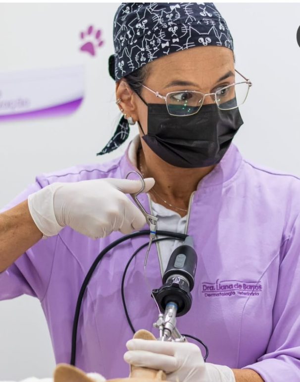 Dermatologia veterinária ganha destaque no cuidado com cães e gatos: entenda a importância da especialidade