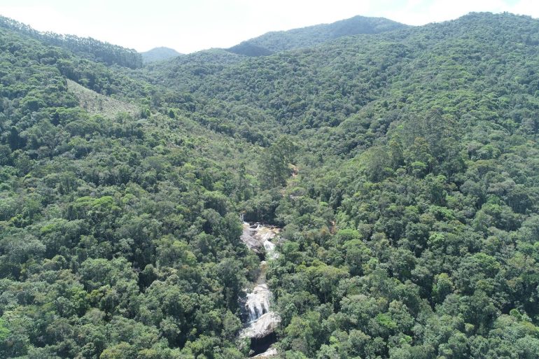 desmatamento-da-mata-atlantica-em-sc-atinge-menor-nivel-em-mais-de-uma-decada