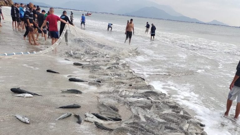 mais-de-18-mil-tainhas-sao-capturadas-no-primeiro-grande-lanco-em-sc1.