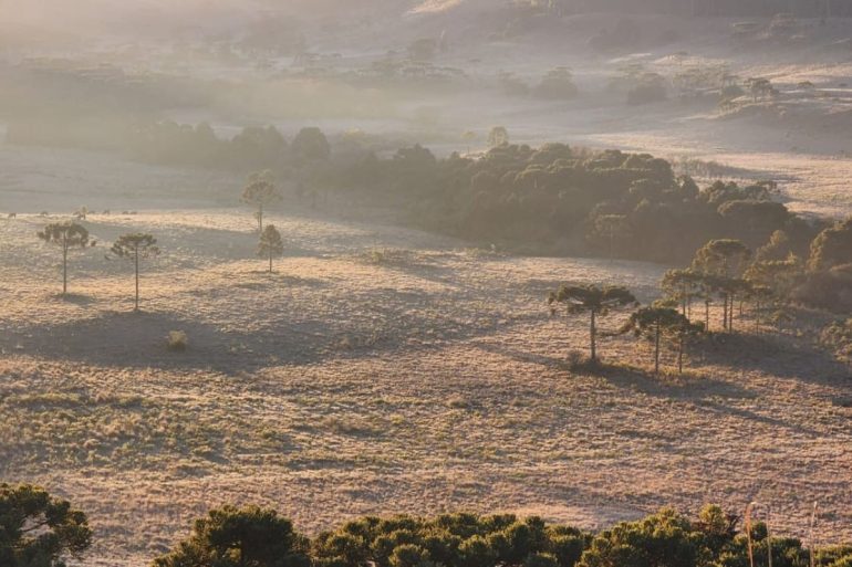 Frio intenso volta a atingir SC com geada e temperaturas negativas em mais de 20 cidades