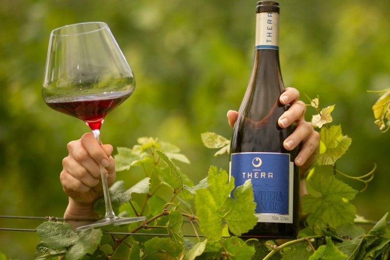 Inverno na Serra Catarinense: charme, frio e uma taça de vinho na Thera Vinícola