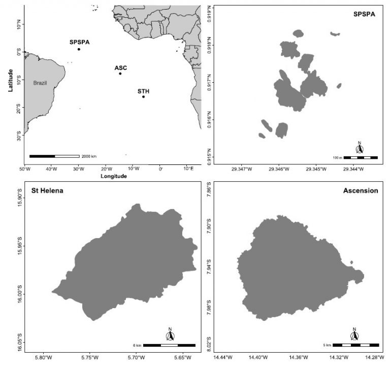 pesquisadores-da-ufsc-identificam-especies-de-peixes-mais-antigas-que-a-propria-ilha-onde-vivem1