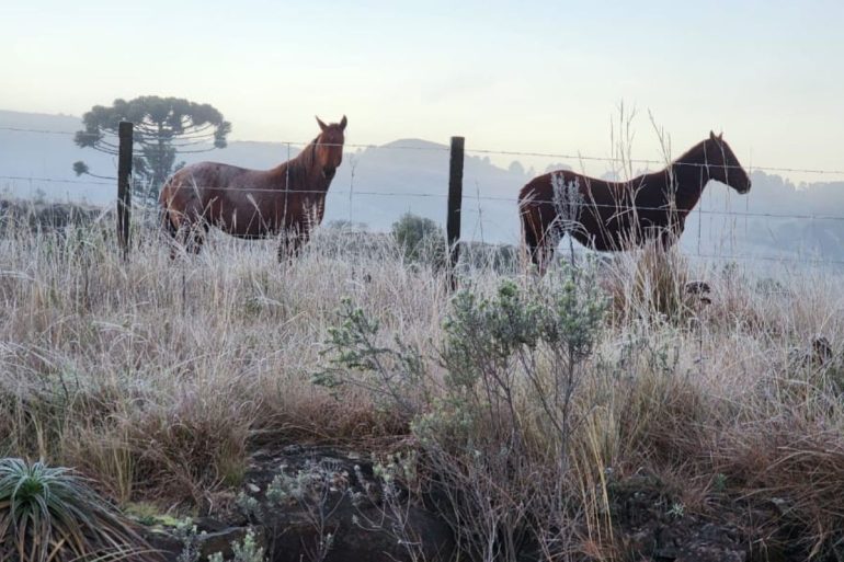 urupema-registra-6c-com-sensacao-termica-de-26c-em-santa-catarina
