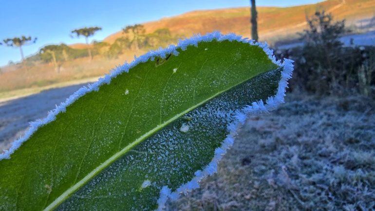 A magia das geadas: onde fotografar a paisagem congelada logo cedo na Serra Catarinense
