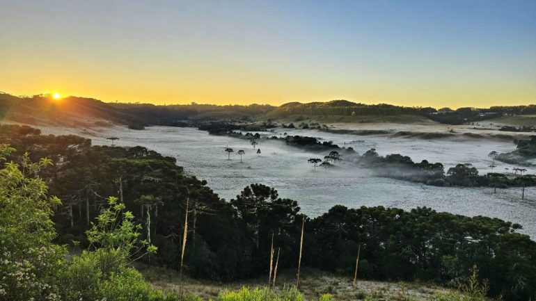 A magia das geadas: onde fotografar a paisagem congelada logo cedo na Serra Catarinense