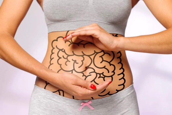 Intestino pode ser a chave para controlar a fome e emagrecer de forma sustentável