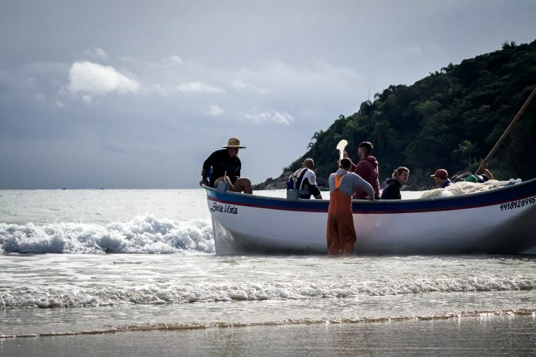 florianopolis-lanca-rota-da-tainha-e-encerra-oficialmente-a-safra-de-2025-neste-sabado
