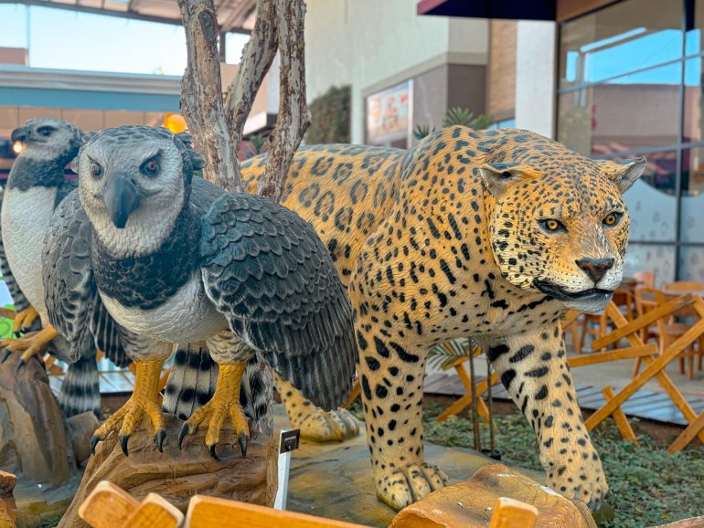 outlet-de-porto-belo-recebe-exposicao-com-replicas-hiper-realistas-de-animais-selvagens