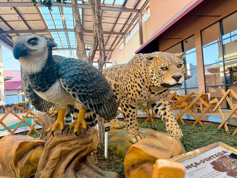 outlet-de-porto-belo-recebe-exposicao-com-replicas-hiper-realistas-de-animais-selvagens4
