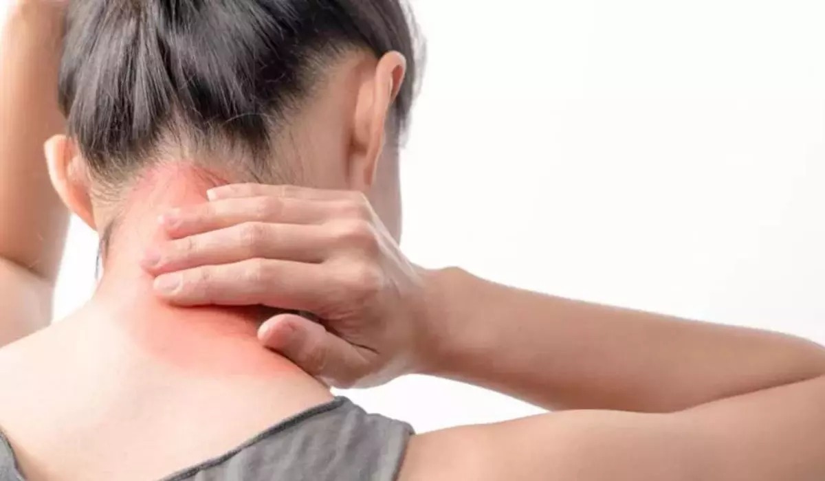 Projeto de Lei propõe redução da jornada de trabalho para servidores com fibromialgia em SC
